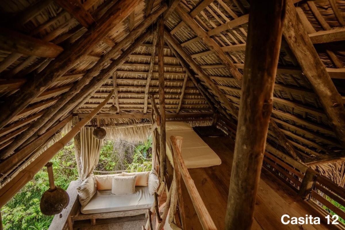 Ecolodge Tubagua Puerto Plata Екстериор снимка