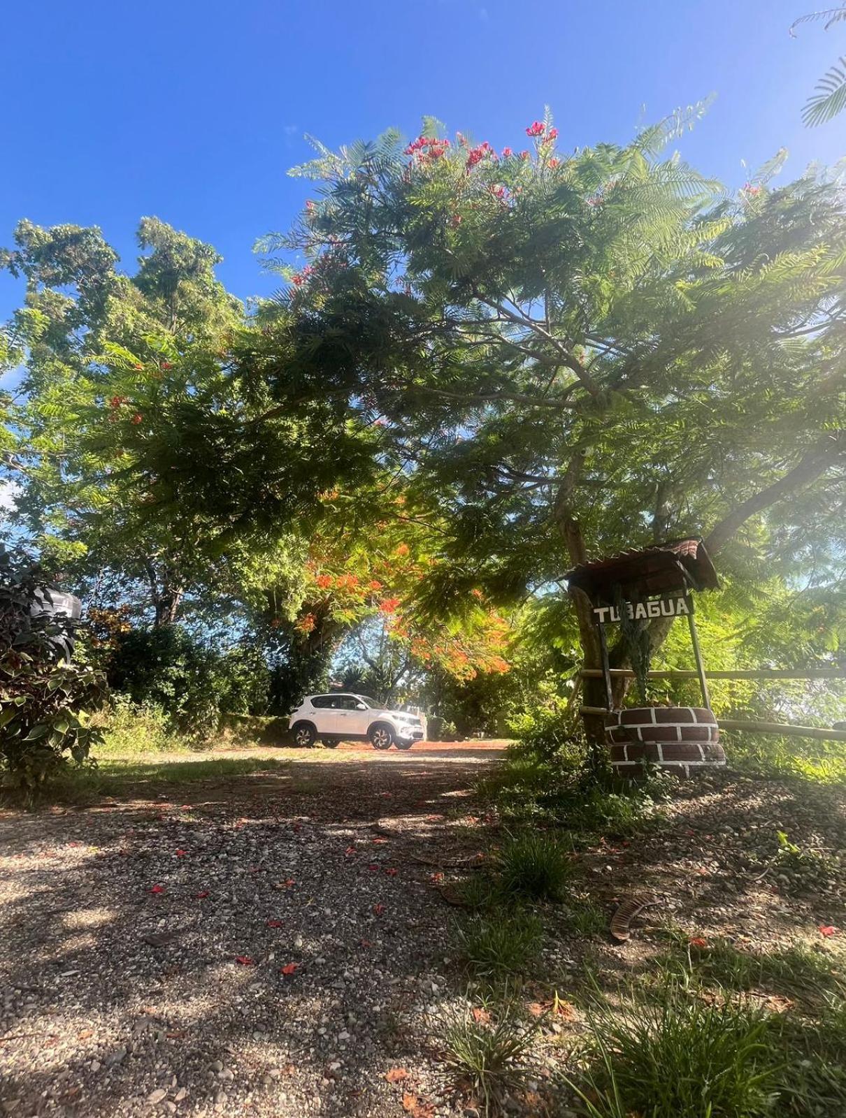 Ecolodge Tubagua Puerto Plata Екстериор снимка