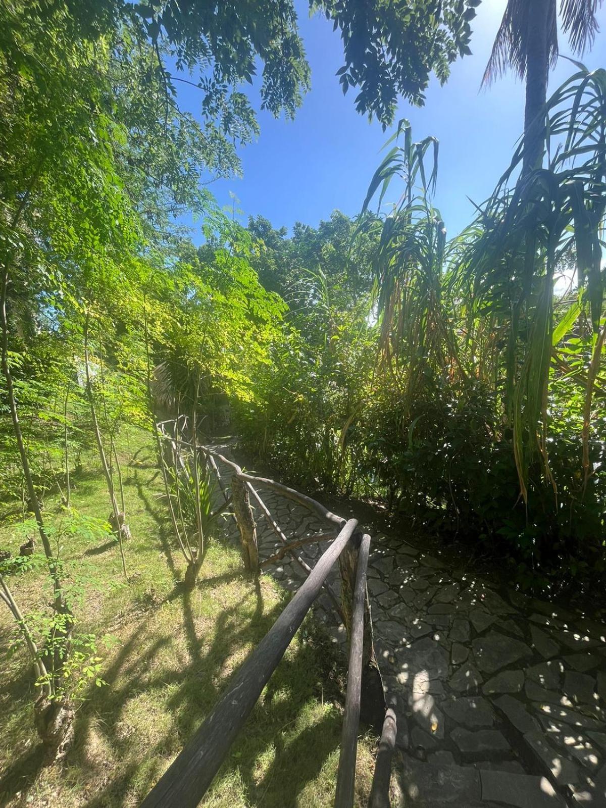 Ecolodge Tubagua Puerto Plata Екстериор снимка