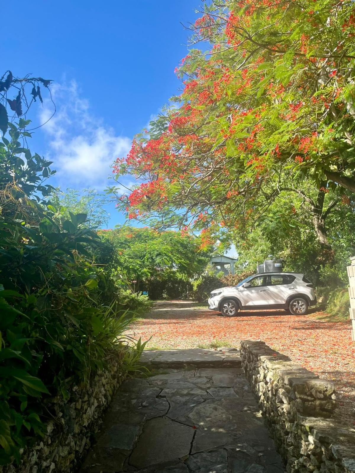 Ecolodge Tubagua Puerto Plata Екстериор снимка