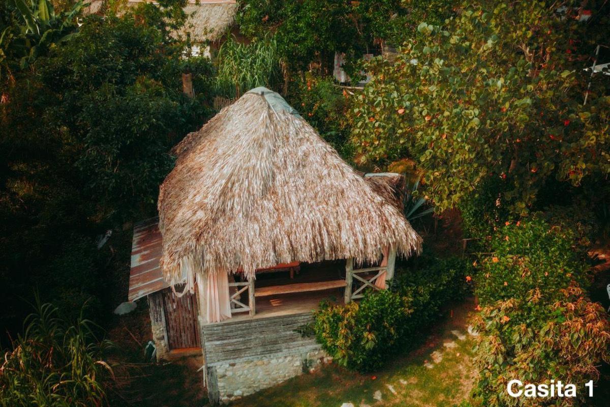 Ecolodge Tubagua Puerto Plata Екстериор снимка