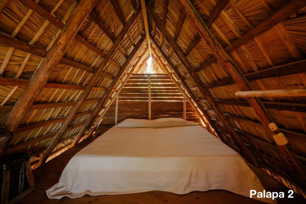 Ecolodge Tubagua Puerto Plata Екстериор снимка