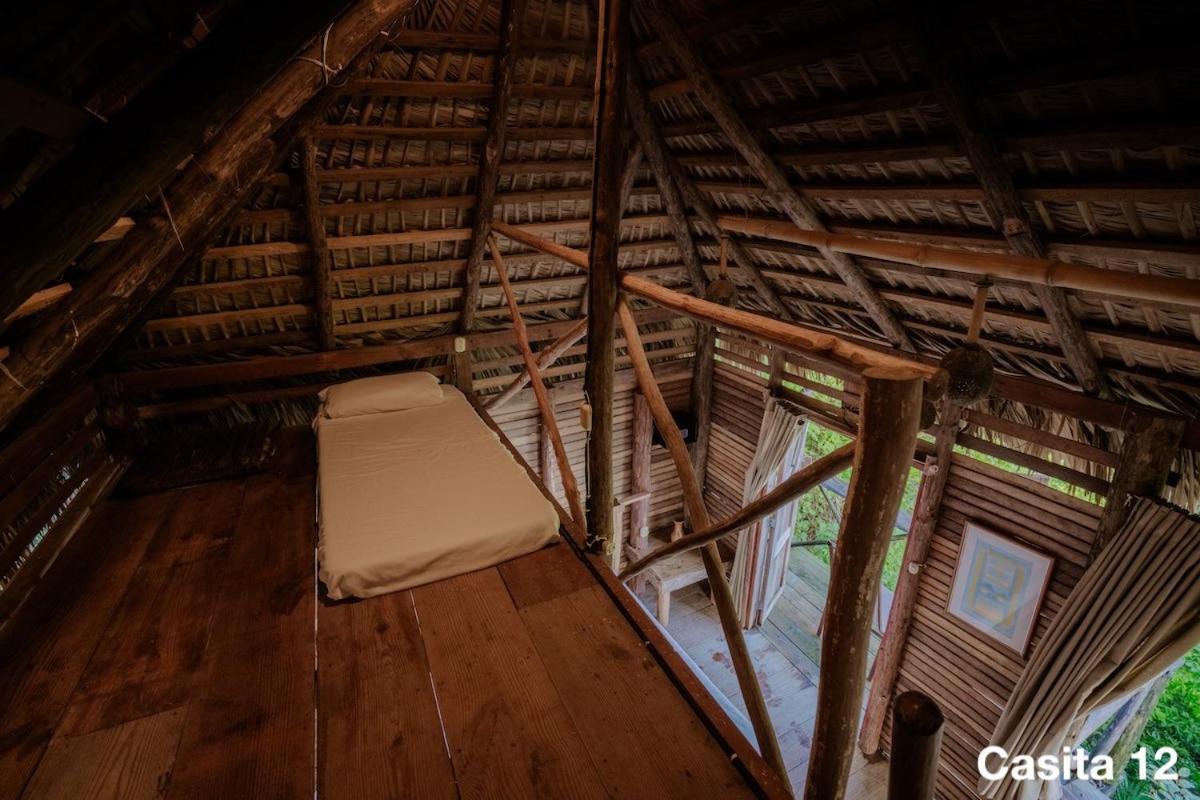 Ecolodge Tubagua Puerto Plata Екстериор снимка